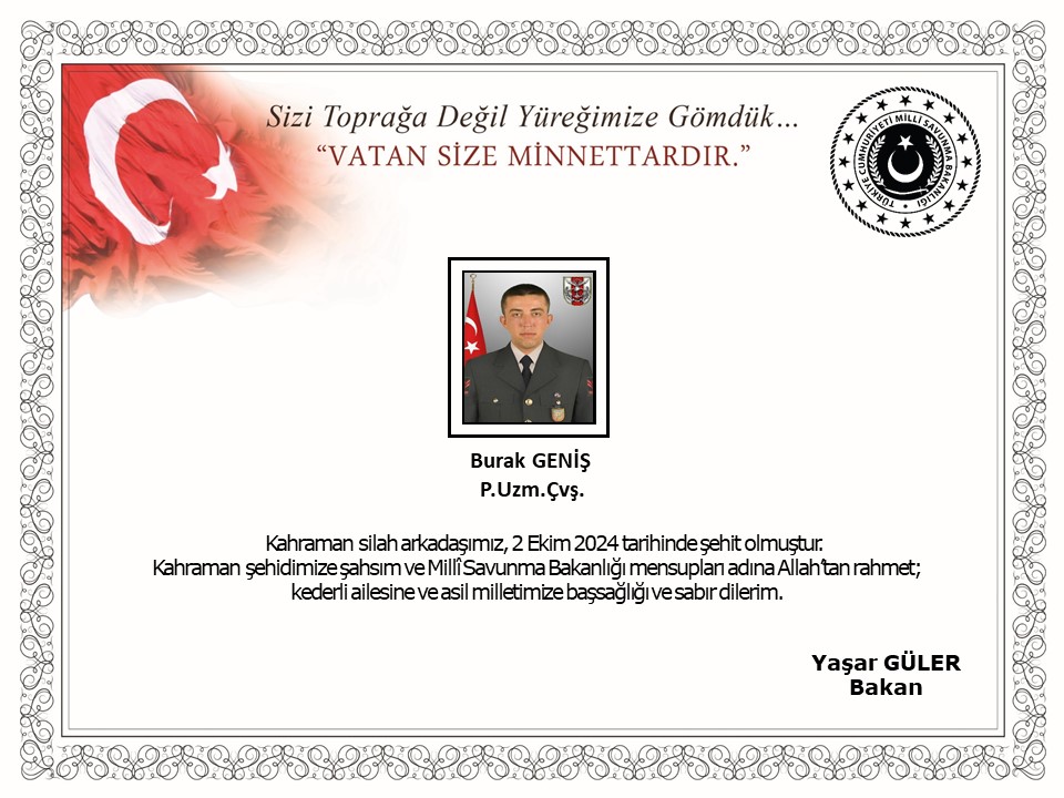 183032.jpg