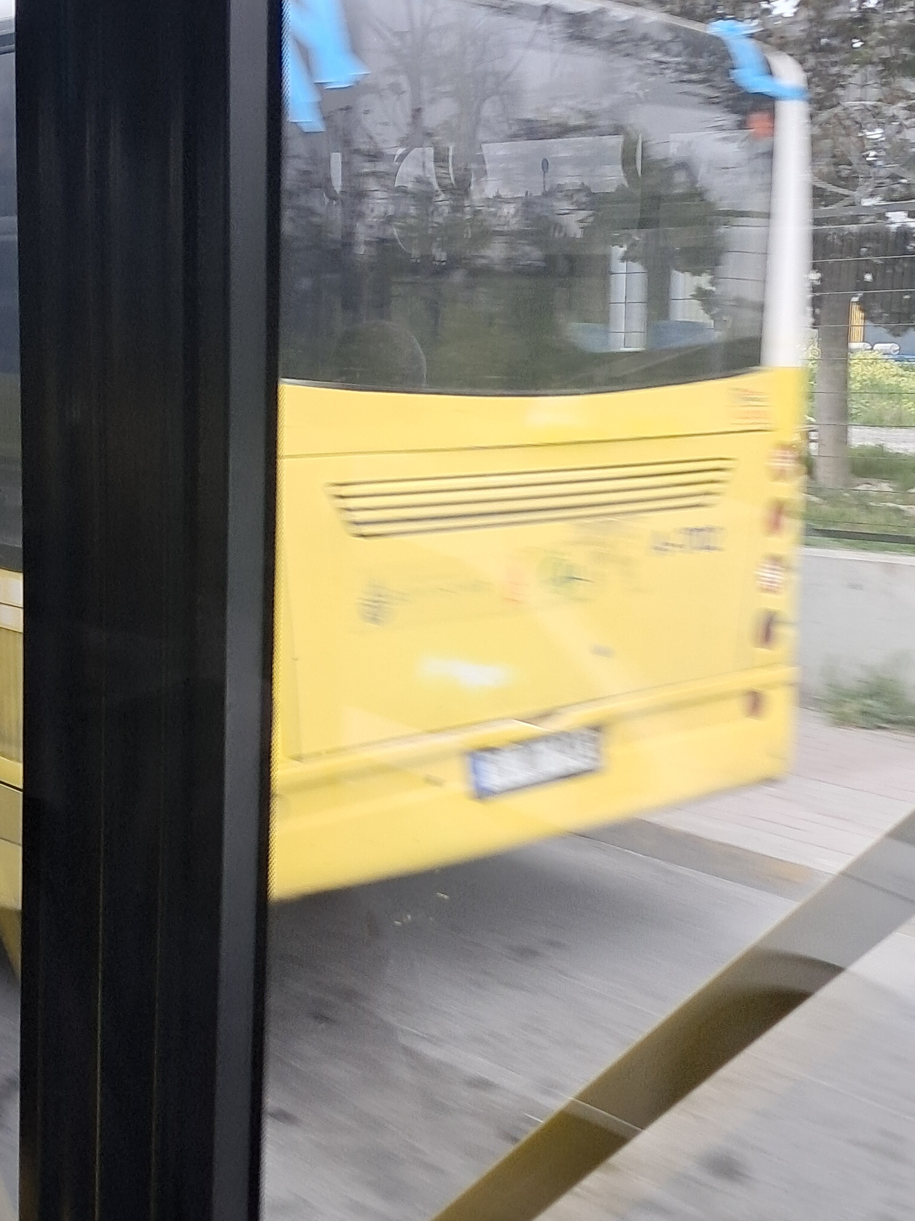 20250424_174008.jpg