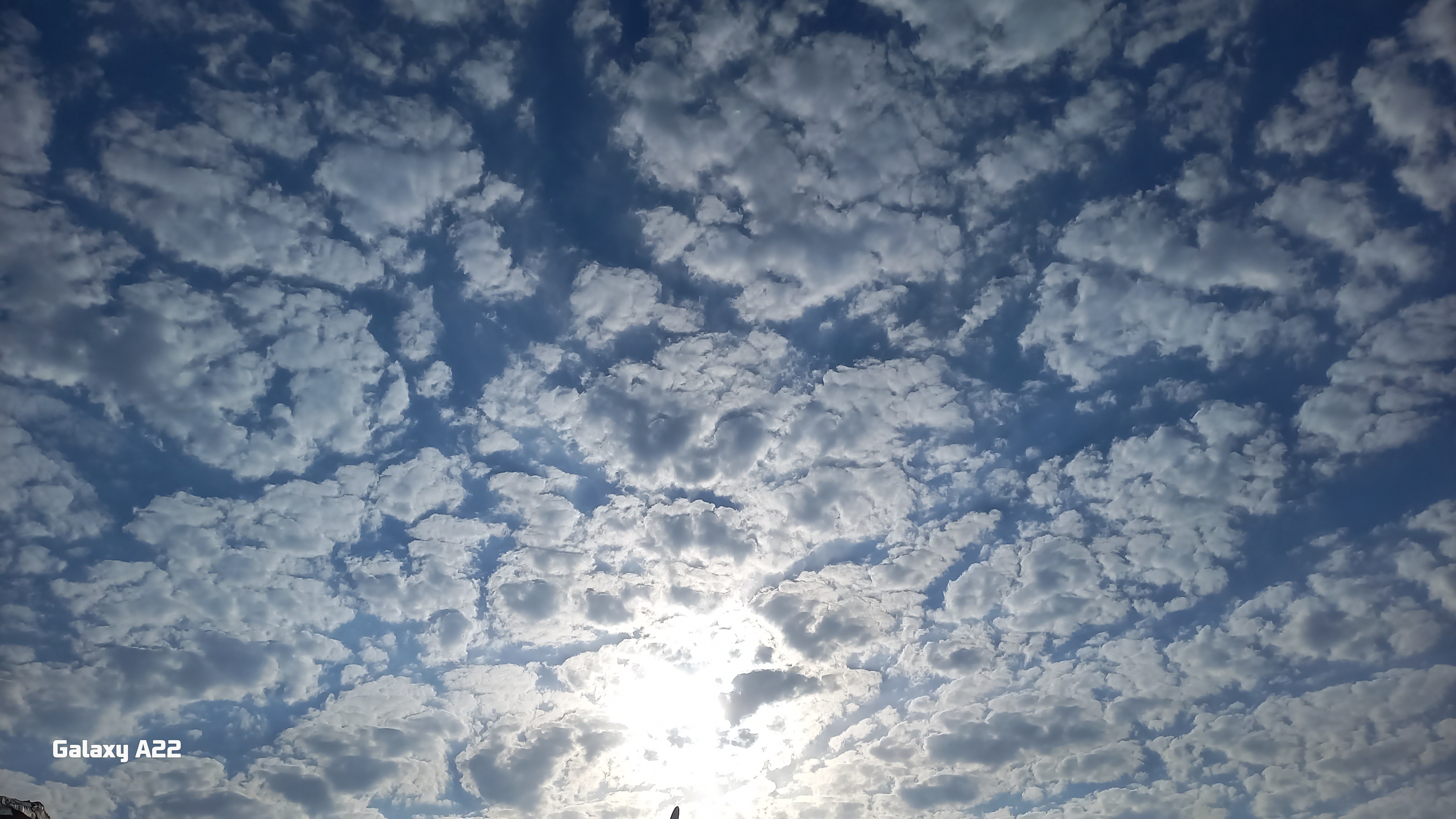 20250814_175642.jpg
