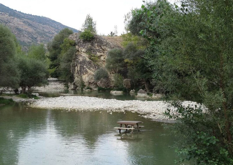 görüntü