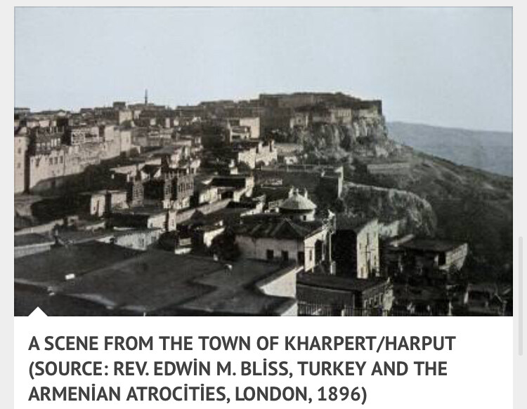 görüntü