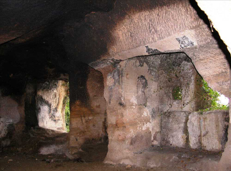 görüntü