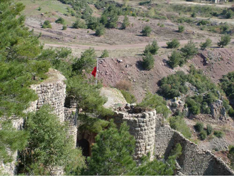 görüntü