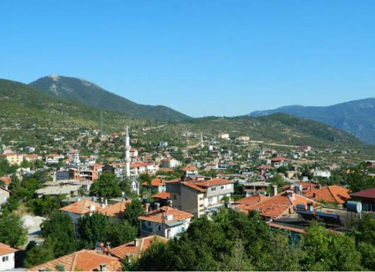 görüntü