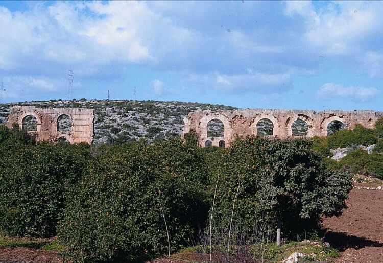 görüntü