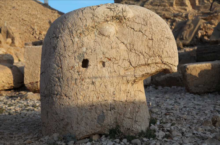 görüntü