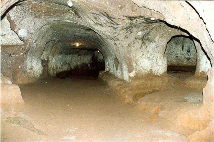 görüntü