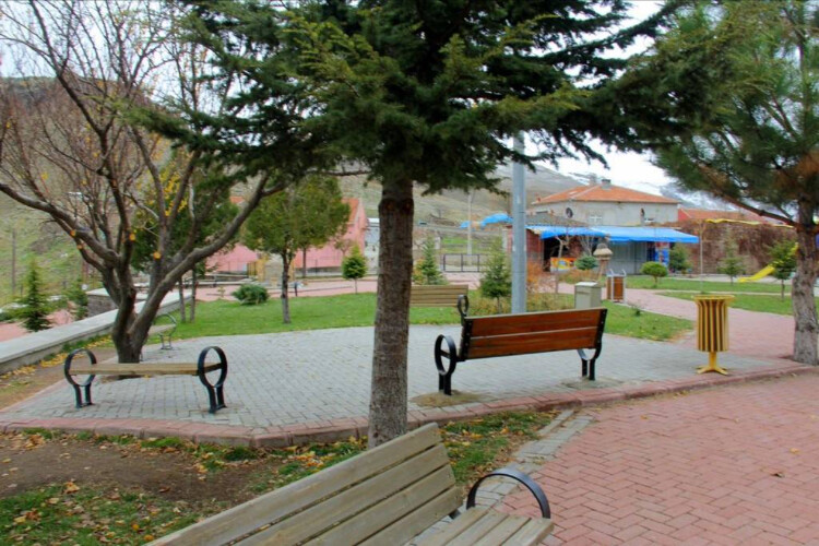 görüntü