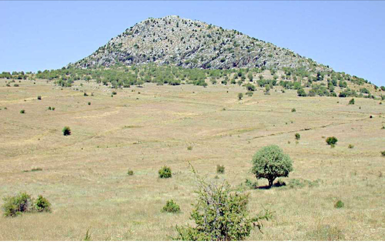 görüntü