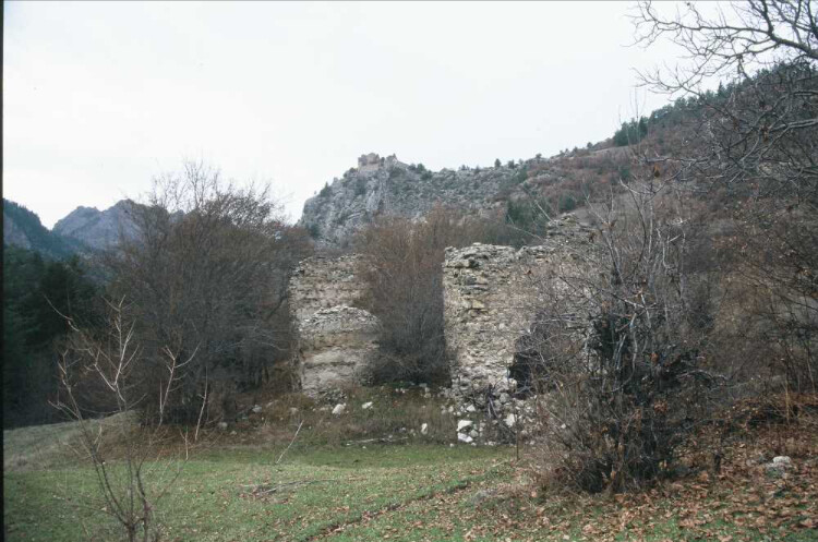 görüntü