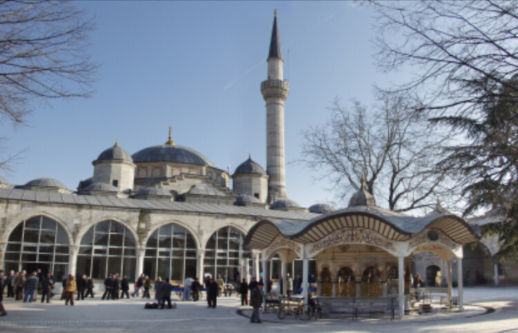 görüntü
