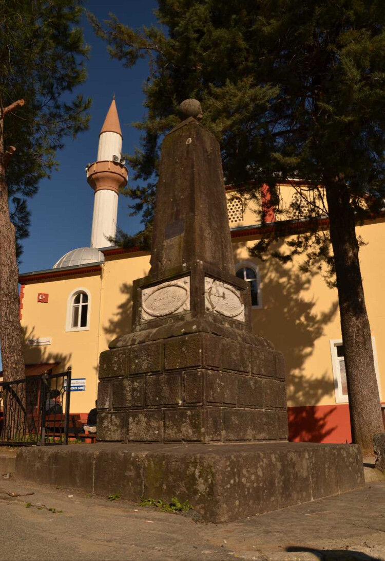 görüntü