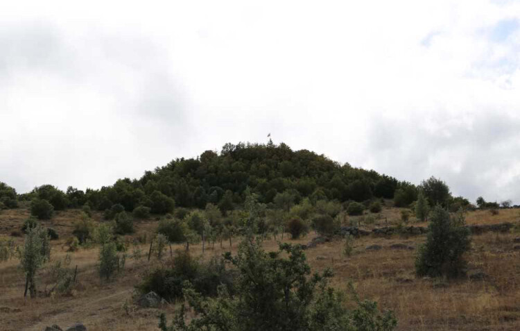 görüntü