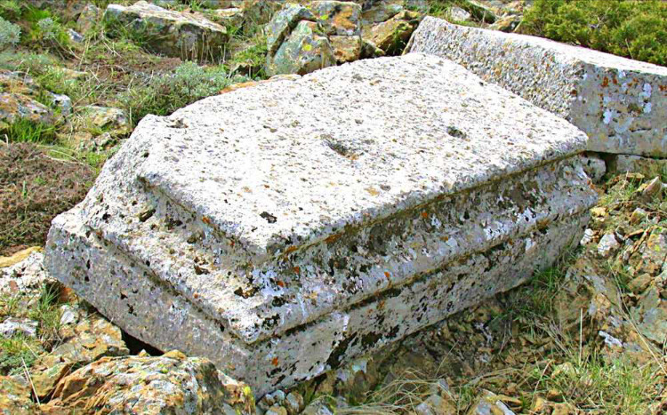görüntü