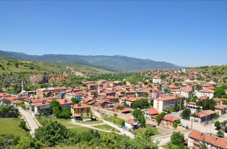 görüntü