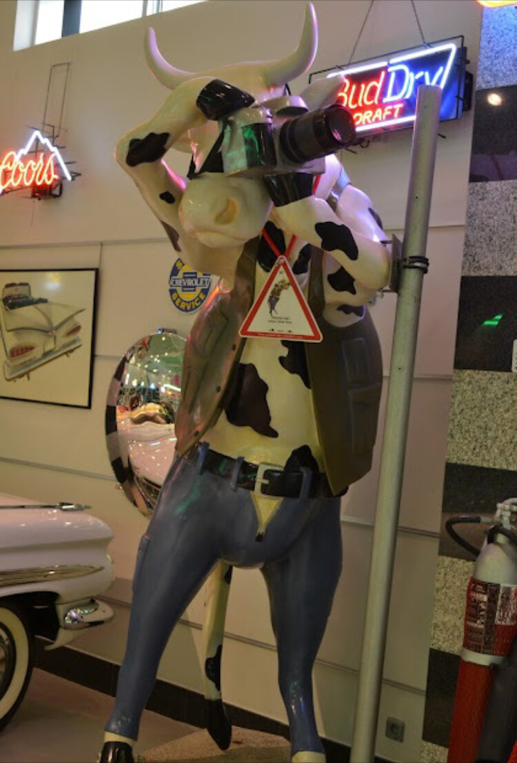 görüntü