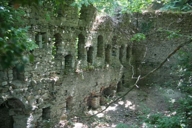 görüntü