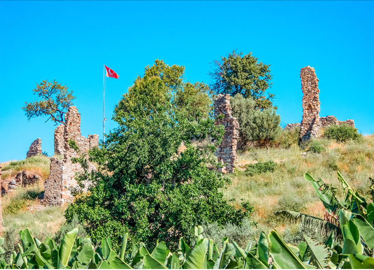 görüntü