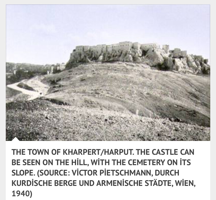 görüntü
