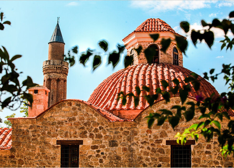 görüntü