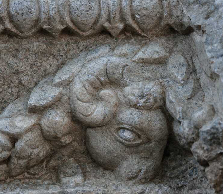 görüntü