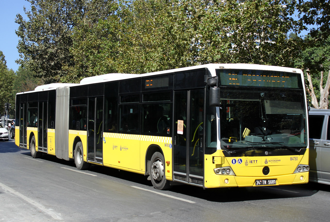 3345331