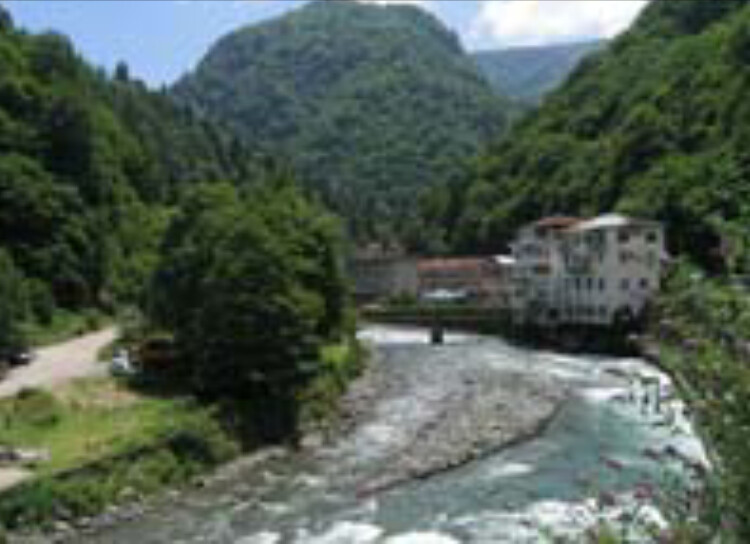 görüntü