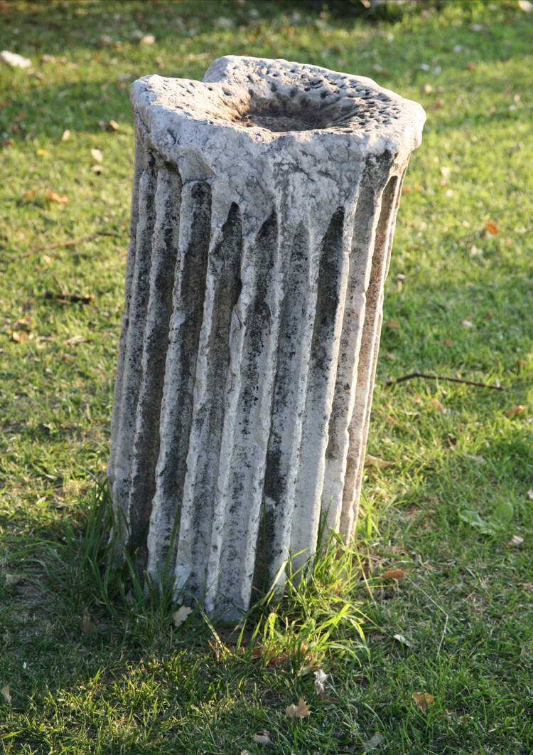 görüntü