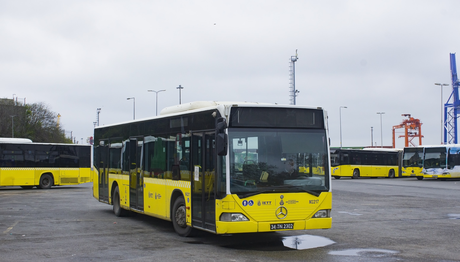 3540358.jpg