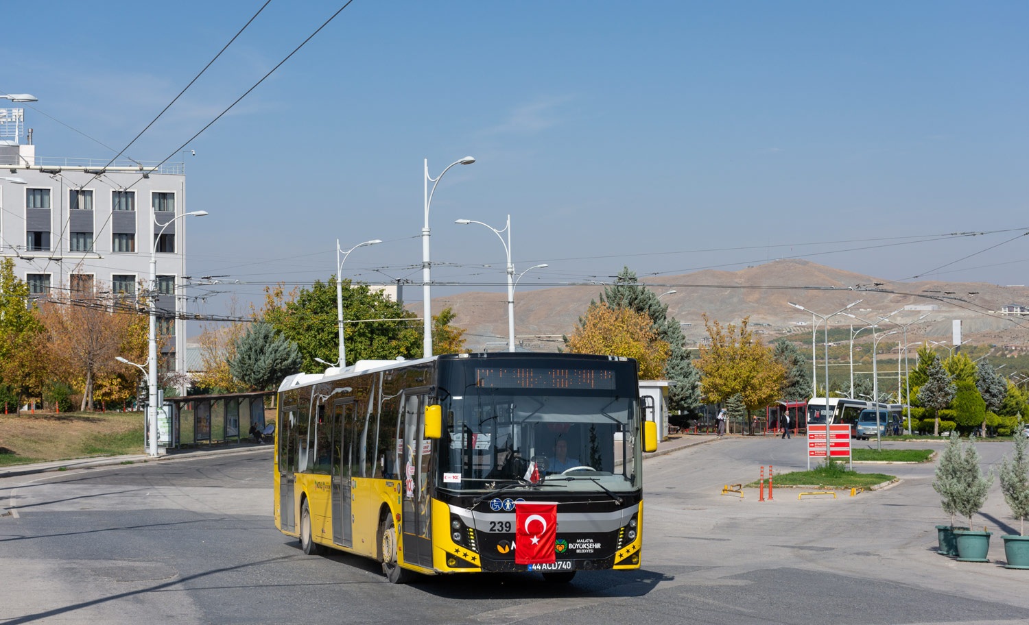 3544803.jpg