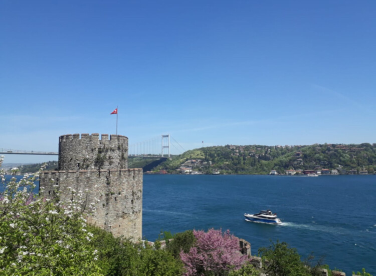 görüntü