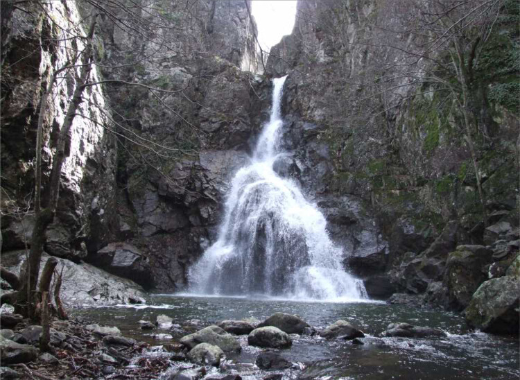 görüntü