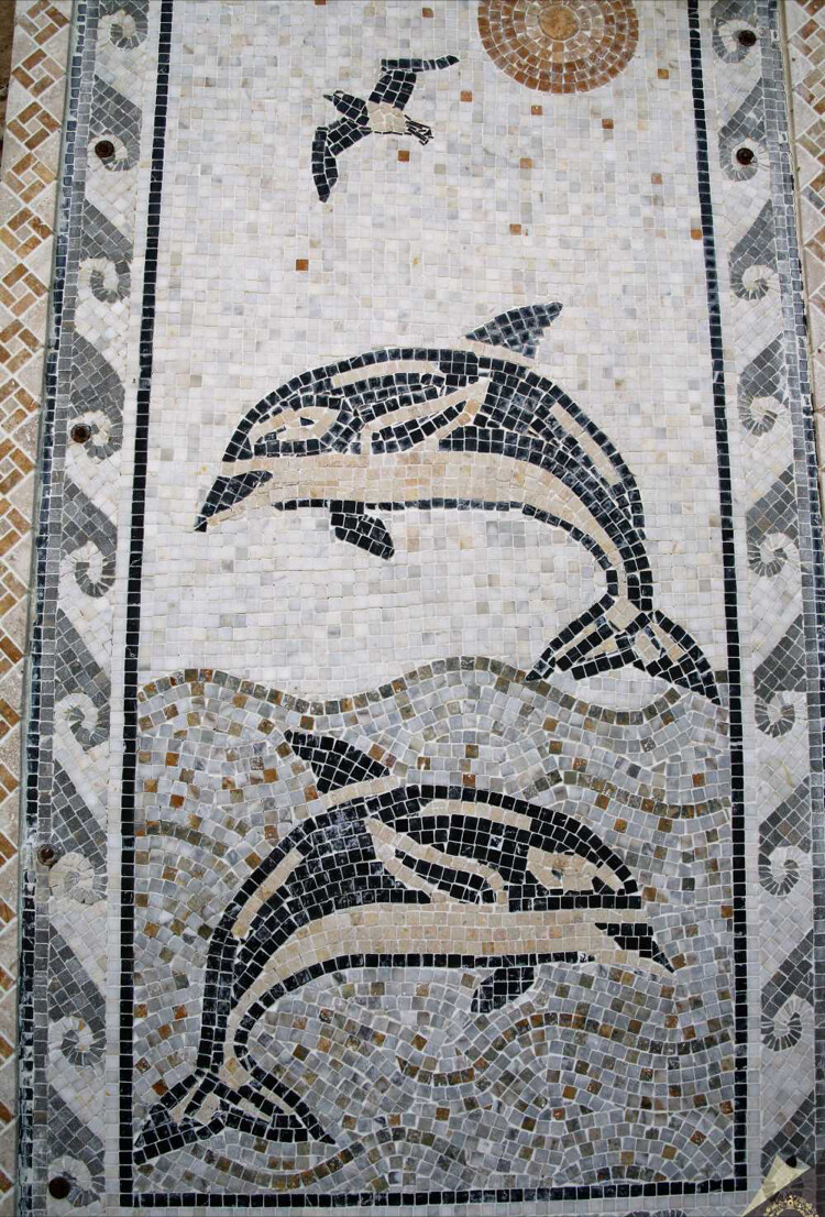 görüntü
