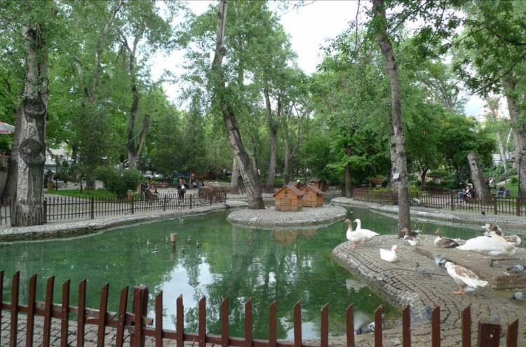 görüntü