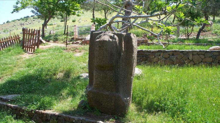 görüntü