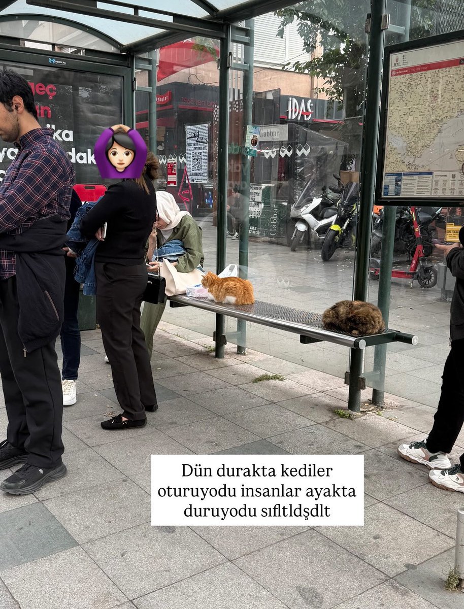 4152.jpg