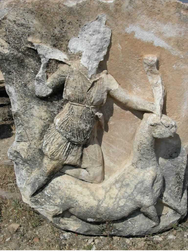görüntü