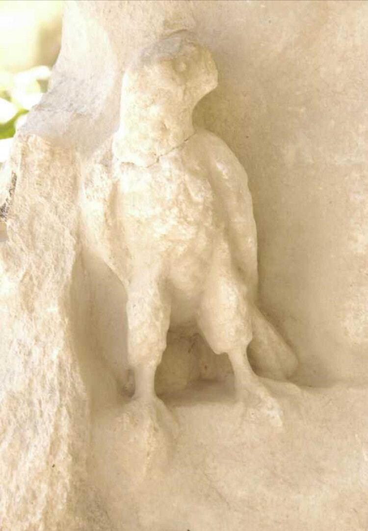 görüntü