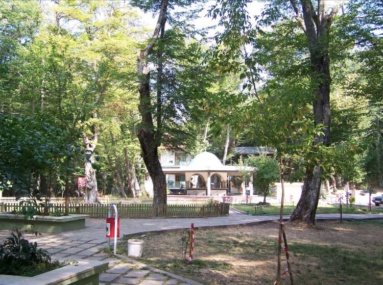 görüntü