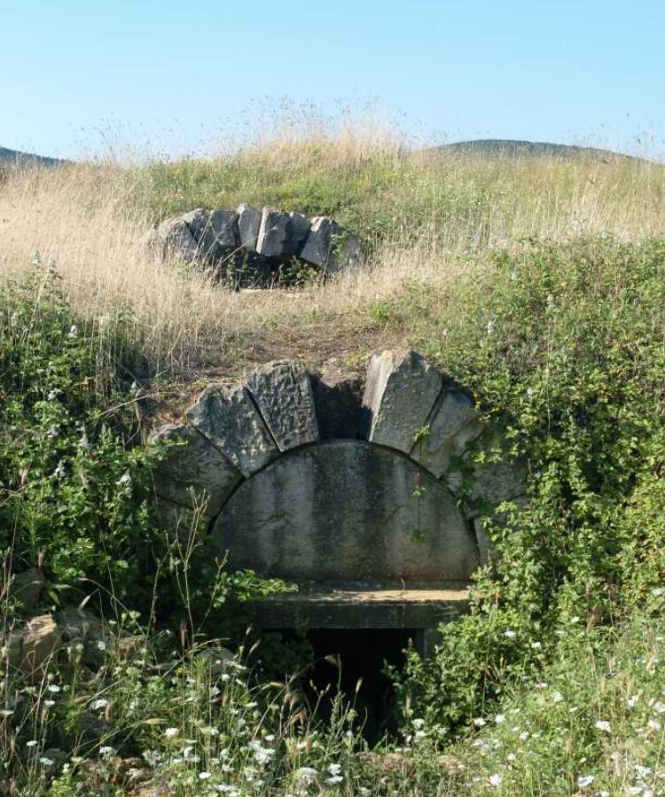 görüntü