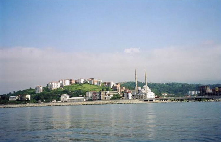 görüntü