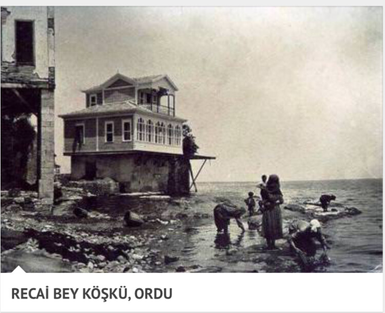 görüntü
