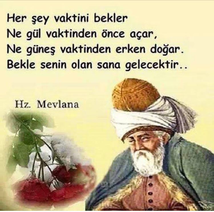 görüntü