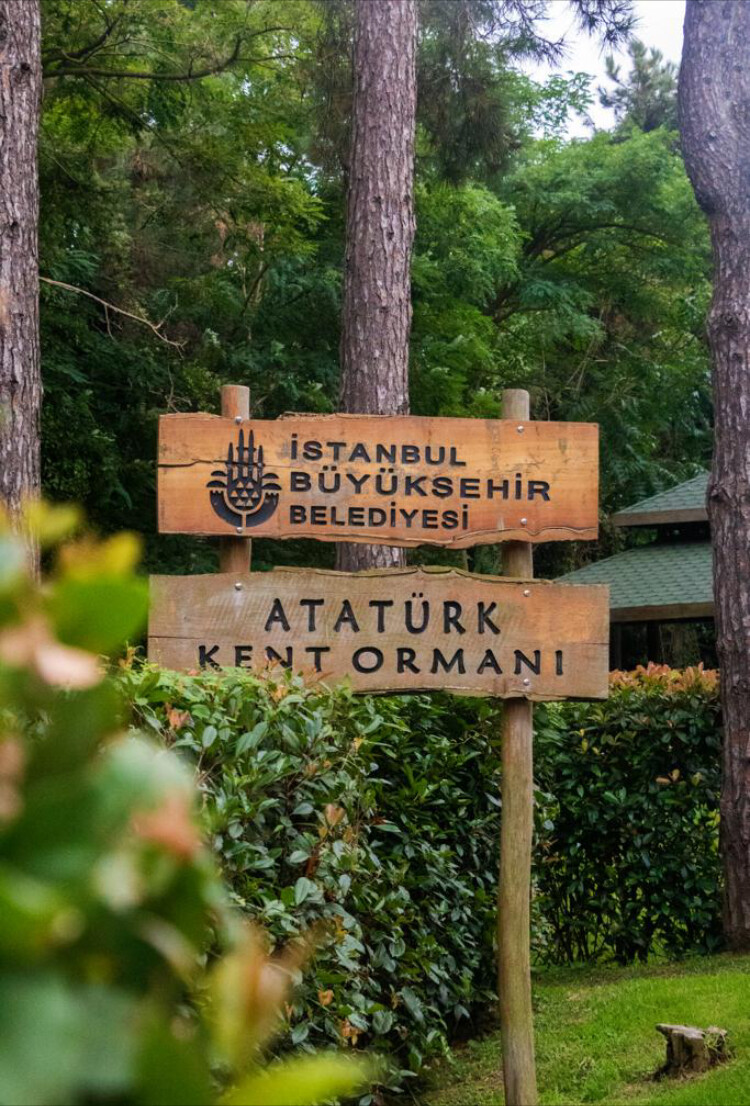 görüntü