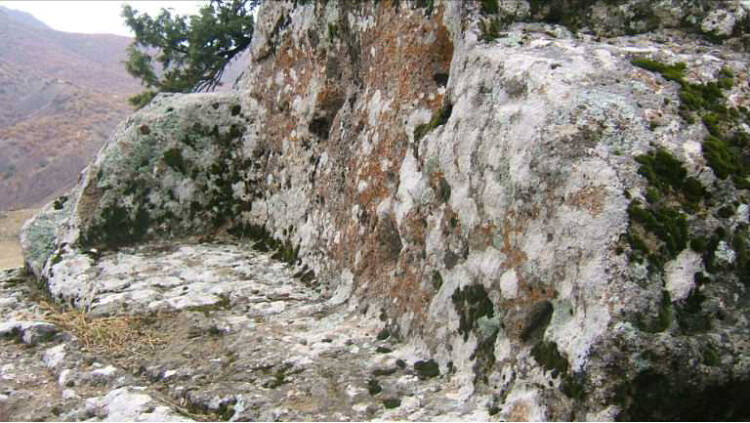görüntü