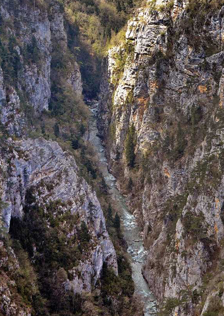 görüntü