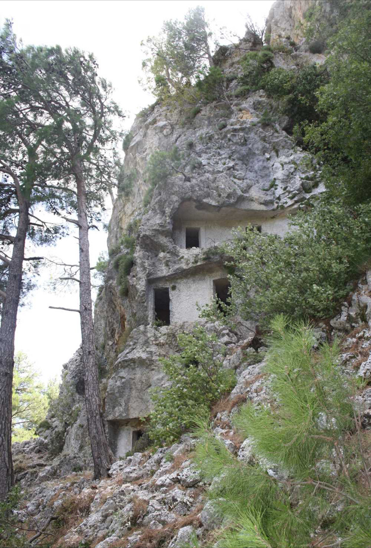 görüntü