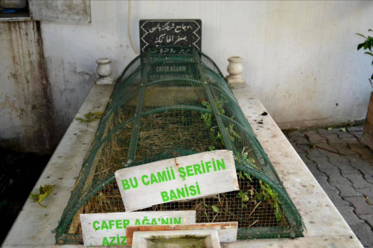 görüntü