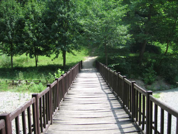 görüntü