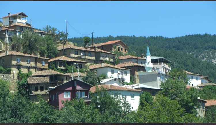 görüntü